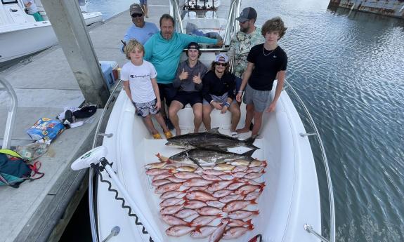 A group of freshly caught fish