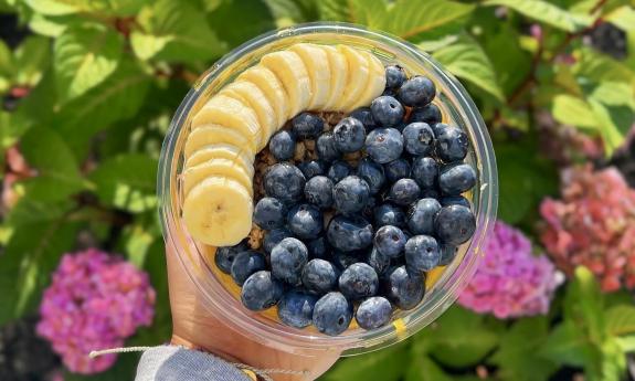 Blueberries and bananas garnished in a bowl