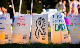 Personalized messages on luminary bags