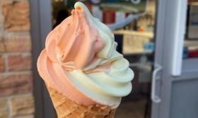 Two swirled custard flavors in a cone