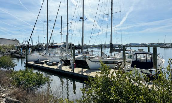 Outdoor seating overlooking the boats in the marina