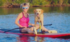Guests can bring their dogs on the Three Brothers Boards St. Augustine water tours.