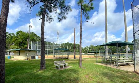 Bleachers under the trees facing the baseball field