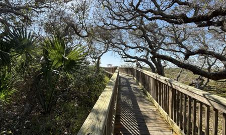 The boardwalk leading to the gazebo area