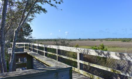 The trail at SE Intracoastal Waterway Park