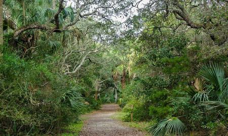 Nature trails in St. Augustine, Florida