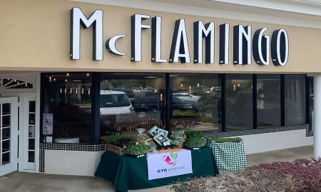 The lettuce farmer visits McFlamingo in Ponte Vedra Beach, FL.