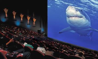 A shark on a big movie screen with a theater full of moviegoers
