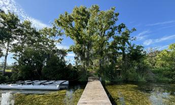 The fishing pier onsite