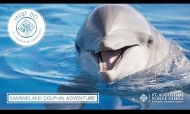 The 2024 Marineland Dolphin Adventure Video