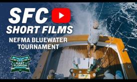 Salt Life Bluewater Tournament (NEFMA) | St. Augustine