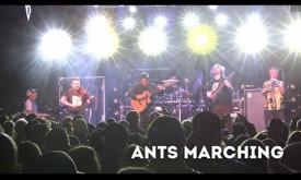 Dave Matthews Tribute Band performing "Ants Marching" written by Dave Matthews