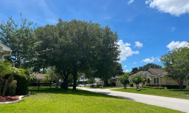 A community in Fruitcove has mature trees, green lawn, and spacious homes