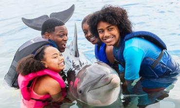 Interacting with the dolphins at Marineland.