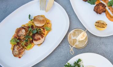 Seafood dinner at Harvest & Reel in the Embassy Suites by Hilton Oceanside Resort on St. Augustine Beach.